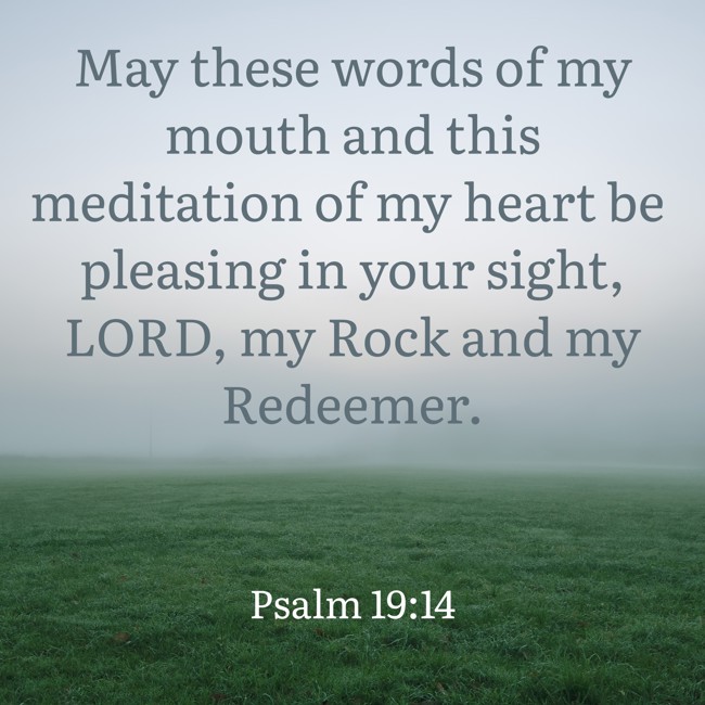 May these words of my mouth and this meditation of my heart be pleasing in your sight, LORD, my Rock and my Redeemer. - Psalm 19:14