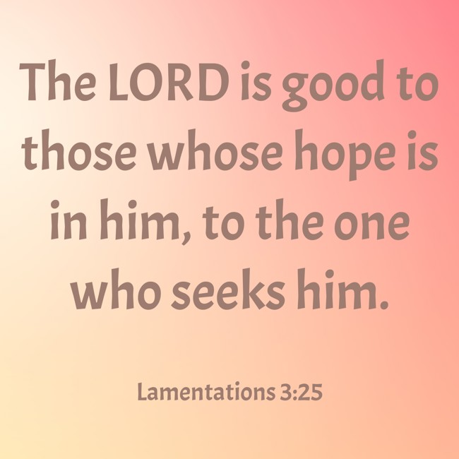 The LORD is good to those whose hope is in him, to the one who seeks him. - Lamentations 3:25