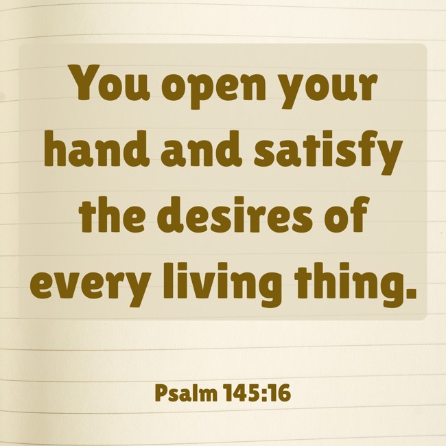 You open your hand and satisfy the desires of every living thing. - Psalm 145:16