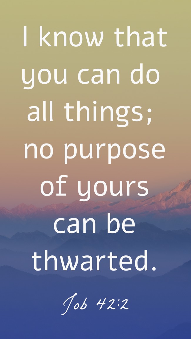 I know that you can do all things; no purpose of yours can be thwarted. - Job 42:2