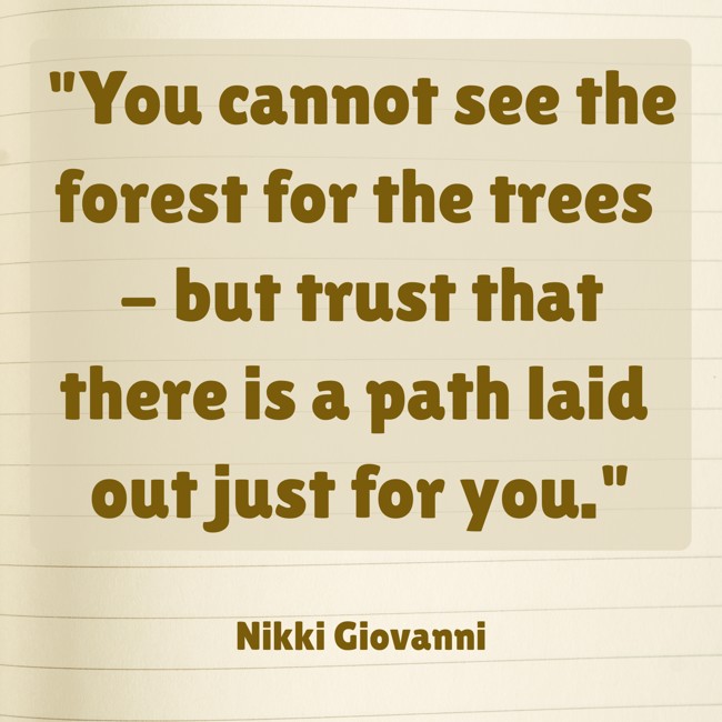 You cannot see the forest for the trees - but trust that there is a path laid out just for you. - Nikki Giovanni