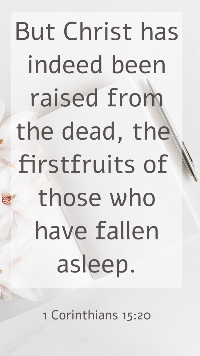 But Christ has indeed been raised from the dead, the firstfruits of those who have fallen asleep. - 1 Corinthians 15:20