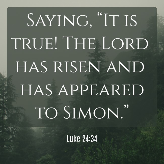 Saying, “It is true! The Lord has risen and has appeared to Simon.” - Luke 24:34