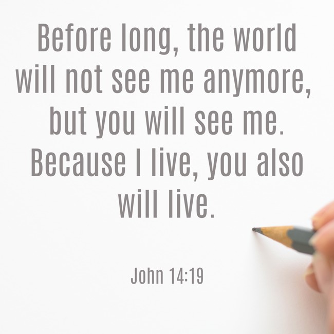 Before long, the world will not see me anymore, but you will see me. Because I live, you also will live. - John 14:19