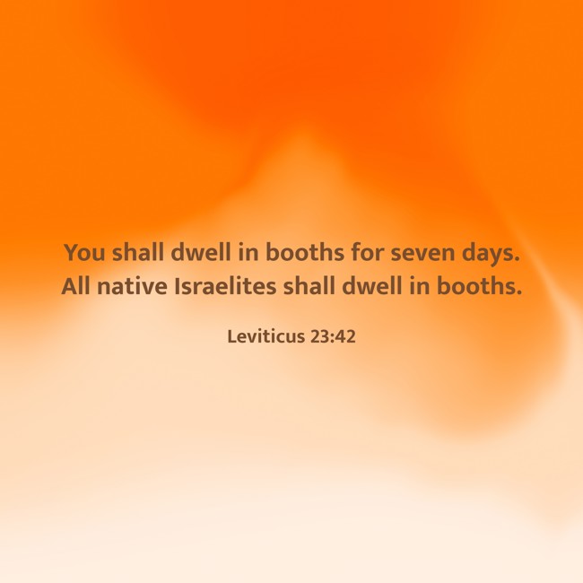 You shall dwell in booths for seven days. All native Israelites shall dwell in booths. - Leviticus 23:42