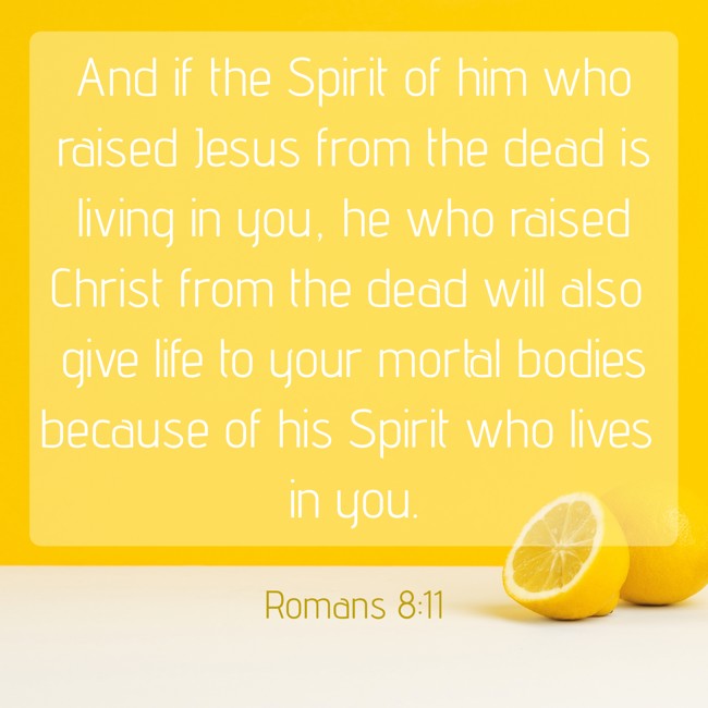 And if the Spirit of him who raised Jesus from the dead is living in you, he who raised Christ from the dead will also give life to your mortal bodies because of his Spirit who lives in you. - Romans 8:11