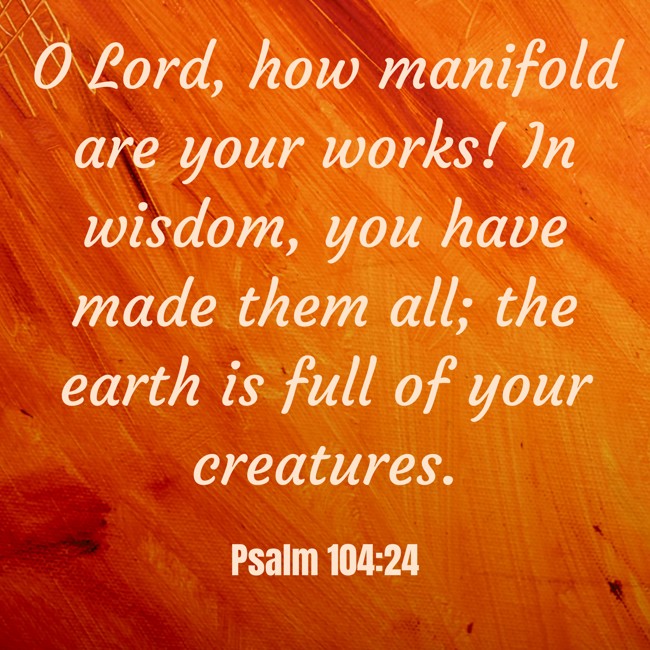 O Lord, how manifold are your works! In wisdom, you have made them all; the earth is full of your creatures. - Psalm 104:24