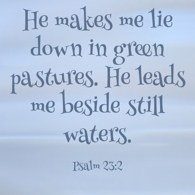 He makes me lie down in green pastures. He leads me beside still waters. - Psalm 23:2
