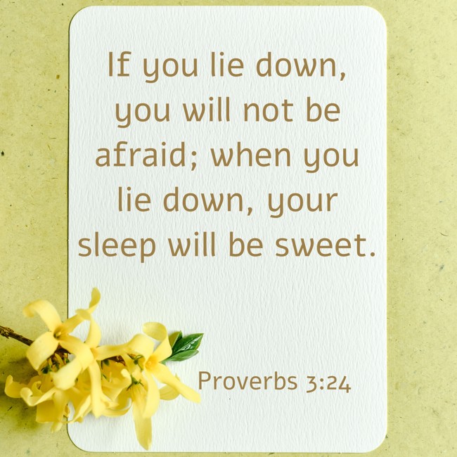If you lie down, you will not be afraid; when you lie down, your sleep will be sweet. - Proverbs 3:24
