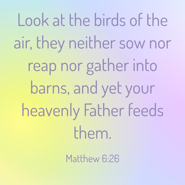 Look at the birds of the air, they neither sow nor reap nor gather into barns, and yet your heavenly Father feeds them. - Matthew 6:26