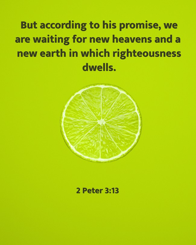 But according to his promise, we are waiting for new heavens and a new earth in which righteousness dwells. - 2 Peter 3:13