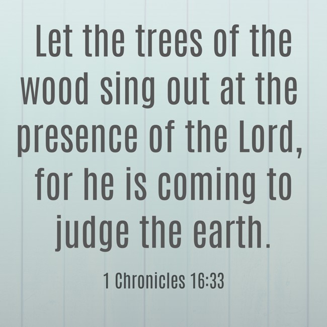 Let the trees of the wood sing out at the presence of the Lord, for he is coming to judge the earth. - 1 Chronicles 16:33