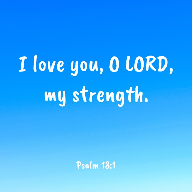 I love you, O LORD, my strength. - Psalm 18:1