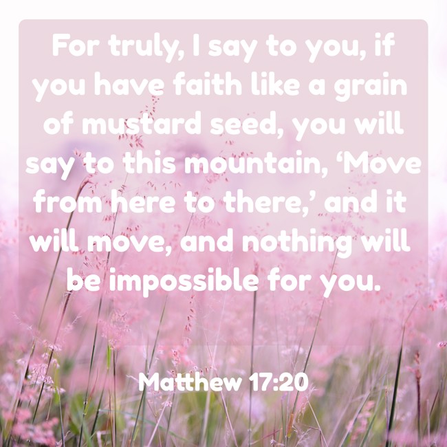 For truly, I say to you, if you have faith like a grain of mustard seed, you will say to this mountain, ‘Move from here to there,’ and it will move, and nothing will be impossible for you. - Matthew 17:20