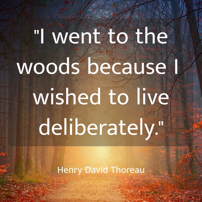 I went to the woods because I wished to live deliberately. - Henry David Thoreau