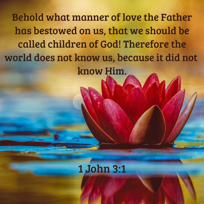 Behold what manner of love the Father has bestowed on us, that we should be called children of God! Therefore the world does not know us, because it did not know Him. - 1 John 3:1