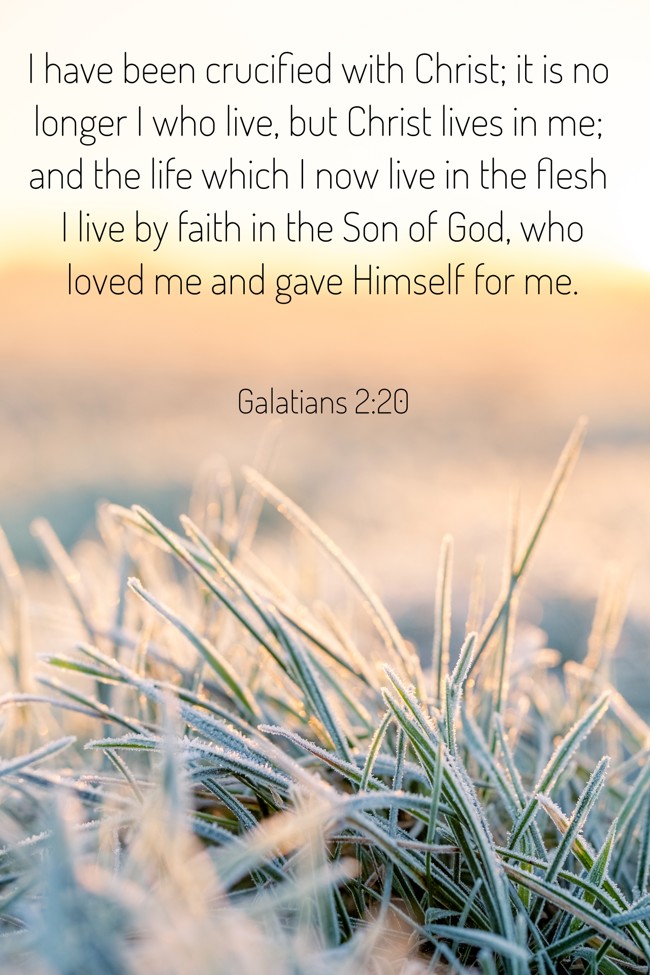 I have been crucified with Christ; it is no longer I who live, but Christ lives in me; and the life which I now live in the flesh I live by faith in the Son of God, who loved me and gave Himself for me. - Galatians 2:20