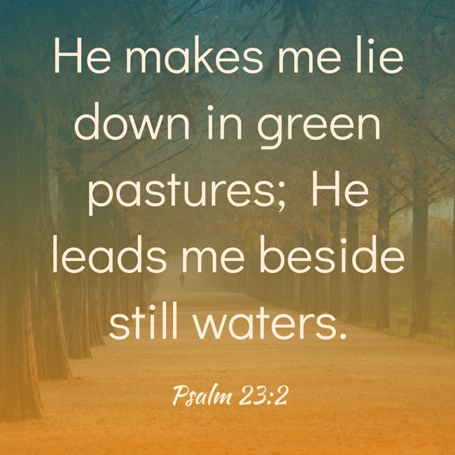 He makes me lie down in green pastures; He leads me beside still waters. - Psalm 23:2