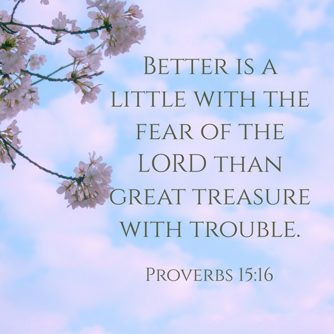 Better is a little with the fear of the LORD than great treasure with trouble. - Proverbs 15:16