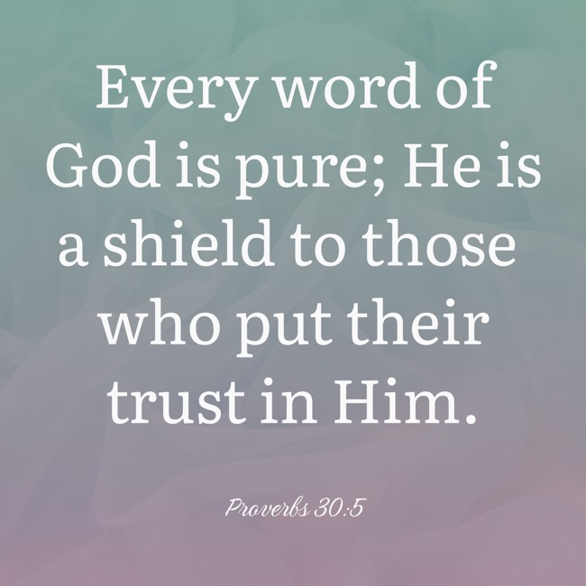 Every word of God is pure; He is a shield to those who put their trust in Him. - Proverbs 30:5