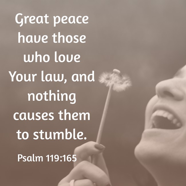 Great peace have those who love Your law, and nothing causes them to stumble. - Psalm 119:165