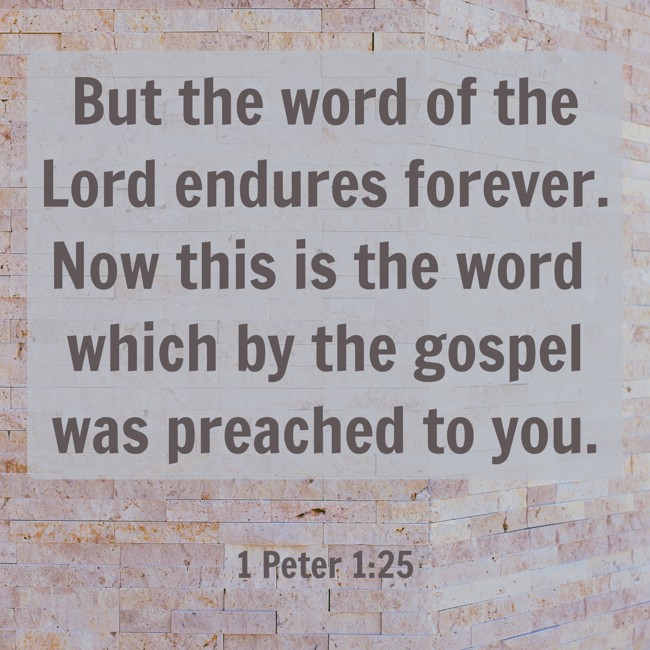 But the word of the Lord endures forever. Now this is the word which by the gospel was preached to you. - 1 Peter 1:25