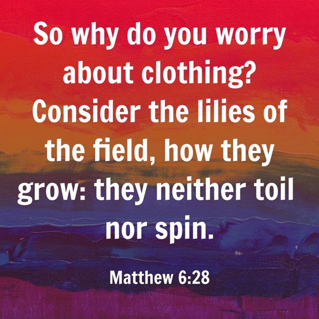 So why do you worry about clothing? Consider the lilies of the field, how they grow: they neither toil nor spin. - Matthew 6:28
