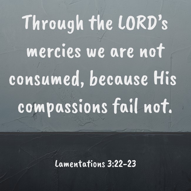 Through the LORD’s mercies we are not consumed, because His compassions fail not. - Lamentations 3:22-23