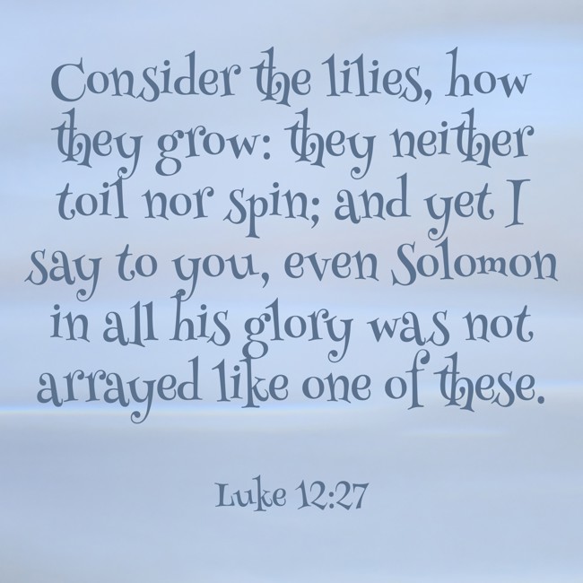 Consider the lilies, how they grow: they neither toil nor spin; and yet I say to you, even Solomon in all his glory was not arrayed like one of these. - Luke 12:27