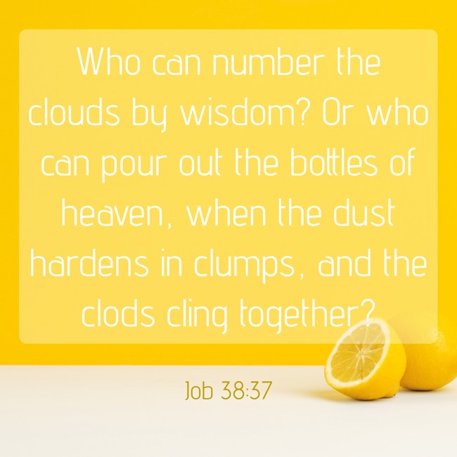 Who can number the clouds by wisdom? Or who can pour out the bottles of heaven, when the dust hardens in clumps, and the clods cling together? - Job 38:37