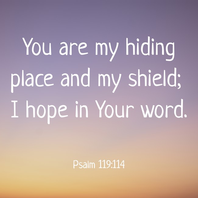 You are my hiding place and my shield; I hope in Your word. - Psalm 119:114