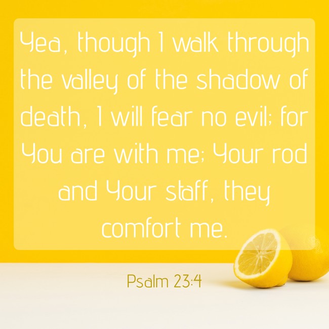 Yea, though I walk through the valley of the shadow of death, I will fear no evil; for You are with me; Your rod and Your staff, they comfort me. - Psalm 23:4