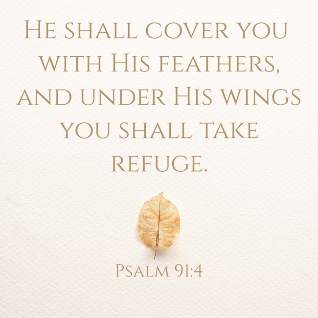 He shall cover you with His feathers, and under His wings you shall take refuge. - Psalm 91:4