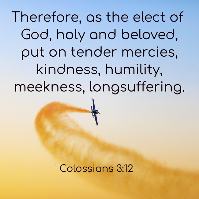 Therefore, as the elect of God, holy and beloved, put on tender mercies, kindness, humility, meekness, longsuffering. - Colossians 3:12