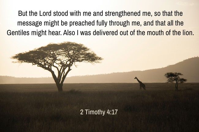 But the Lord stood with me and strengthened me, so that the message might be preached fully through me, and that all the Gentiles might hear. Also I was delivered out of the mouth of the lion. - 2 Timothy 4:17