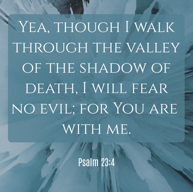Yea, though I walk through the valley of the shadow of death, I will fear no evil; for You are with me. - Psalm 23:4