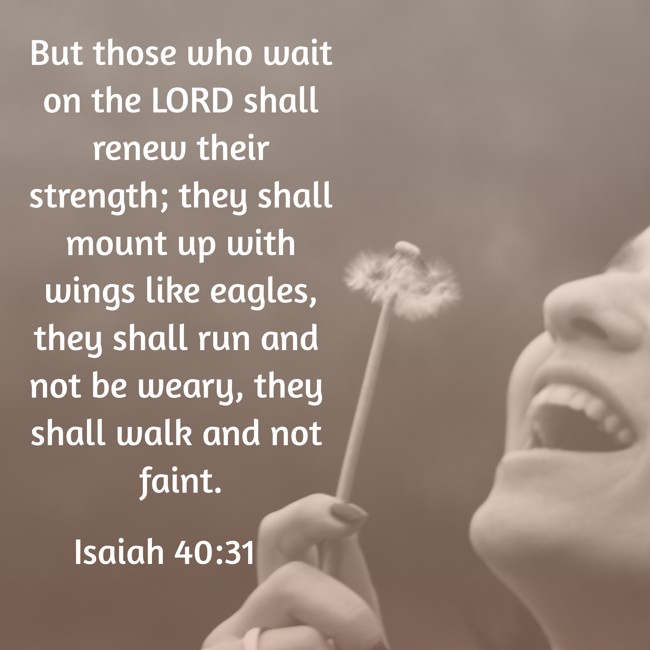 But those who wait on the LORD shall renew their strength; they shall mount up with wings like eagles, they shall run and not be weary, they shall walk and not faint. - Isaiah 40:31