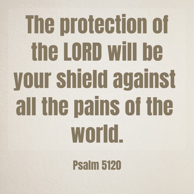 The protection of the LORD will be your shield against all the pains of the world. - Psalm 5120