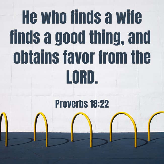  He who finds a wife finds a good thing, and obtains favor from the LORD.   - Proverbs 18:22 