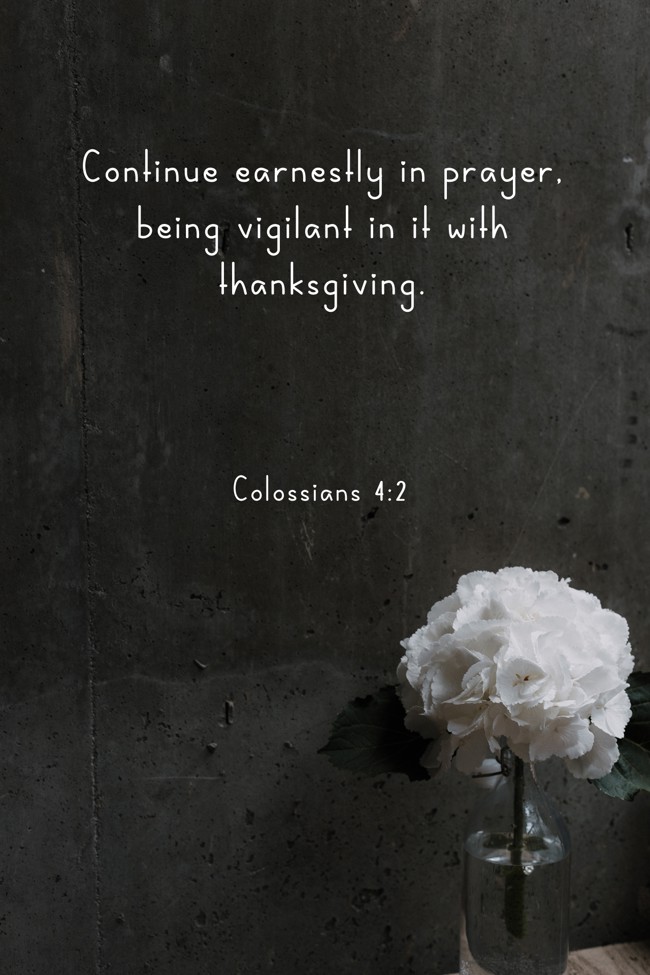 Continue earnestly in prayer, being vigilant in it with thanksgiving. - Colossians 4:2