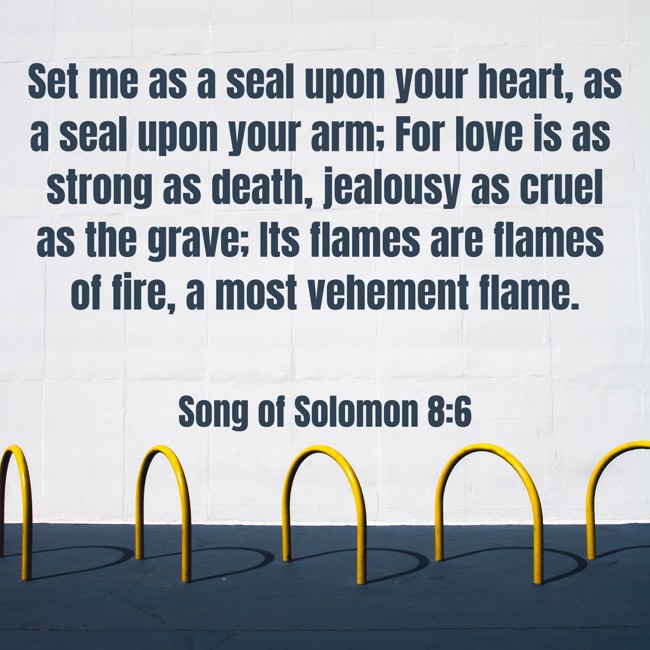  Set me as a seal upon your heart, as a seal upon your arm; For love is as strong as death, jealousy as cruel as the grave; Its flames are flames of fire, a most vehement flame.   - Song of Solomon 8:6 