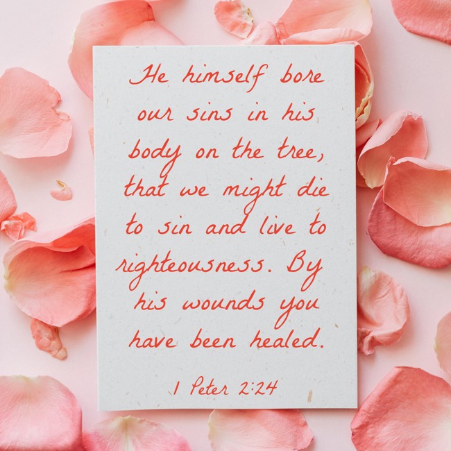 He himself bore our sins in his body on the tree, that we might die to sin and live to righteousness. By his wounds you have been healed. - 1 Peter 2:24