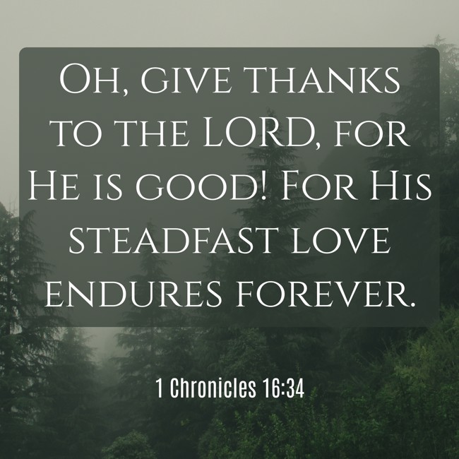 Oh, give thanks to the LORD, for He is good! For His steadfast love endures forever. - 1 Chronicles 16:34
