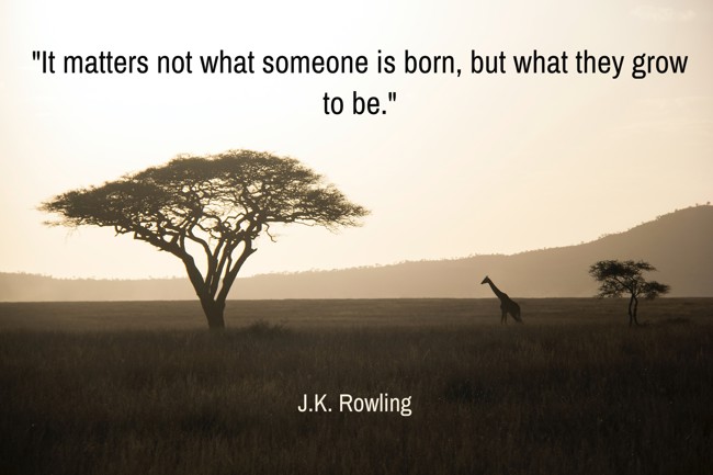 It matters not what someone is born, but what they grow to be. - J.K. Rowling