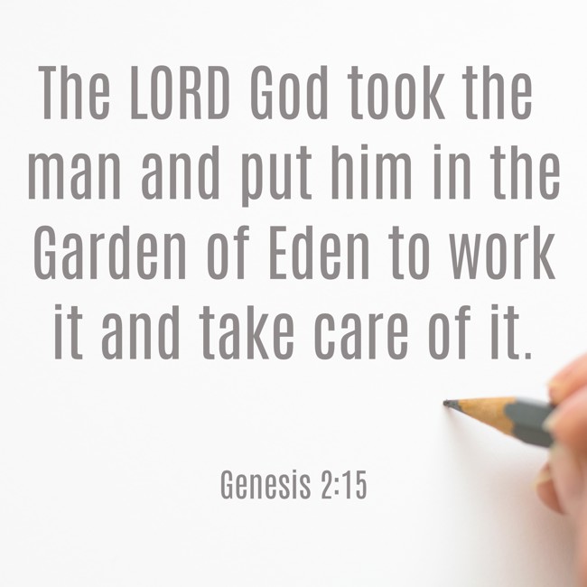 The LORD God took the man and put him in the Garden of Eden to work it and take care of it. - Genesis 2:15
