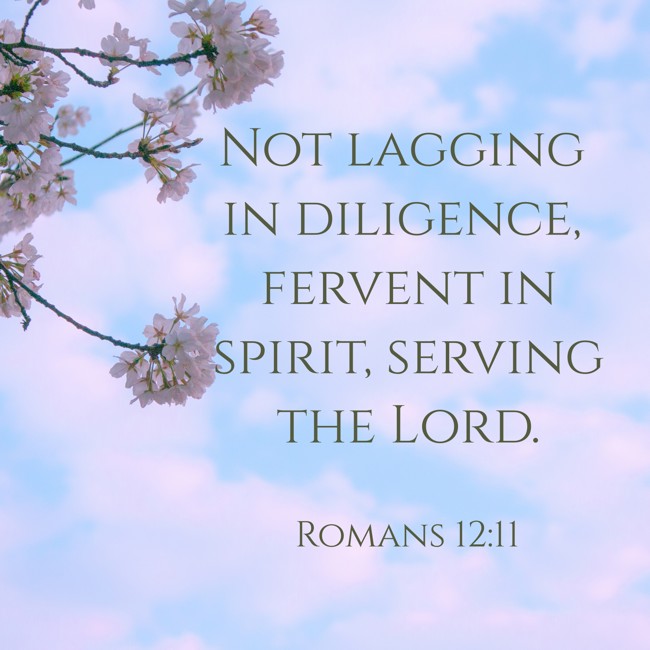 Not lagging in diligence, fervent in spirit, serving the Lord. - Romans 12:11