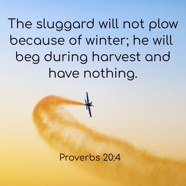 The sluggard will not plow because of winter; he will beg during harvest and have nothing. - Proverbs 20:4