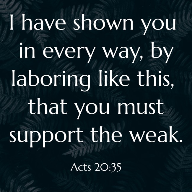 I have shown you in every way, by laboring like this, that you must support the weak. - Acts 20:35