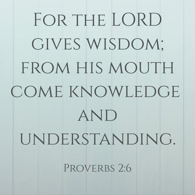 For the LORD gives wisdom; from his mouth come knowledge and understanding. - Proverbs 2:6