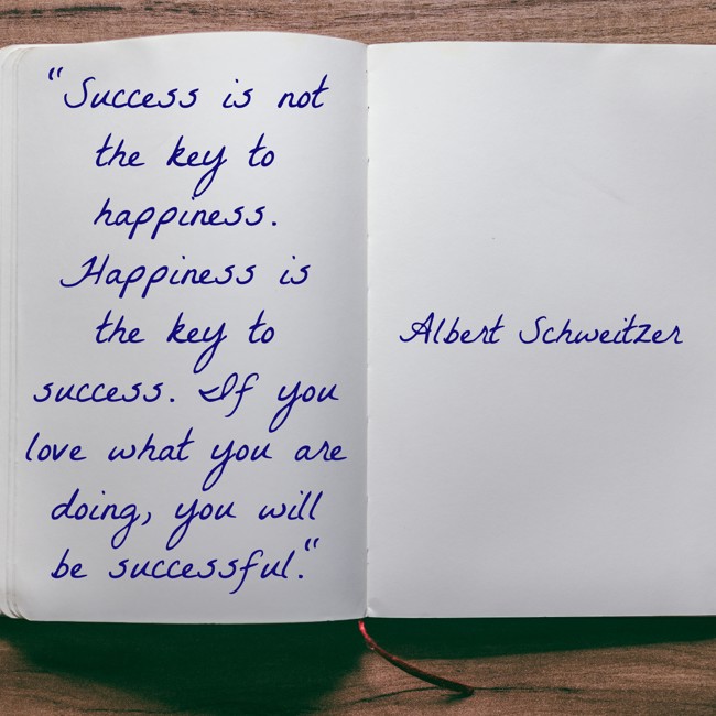 Success is not the key to happiness. Happiness is the key to success. If you love what you are doing, you will be successful. - Albert Schweitzer